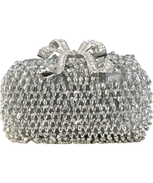 Self-Portrait Metallic Beaded Crystal Bow Topped Box Clutch